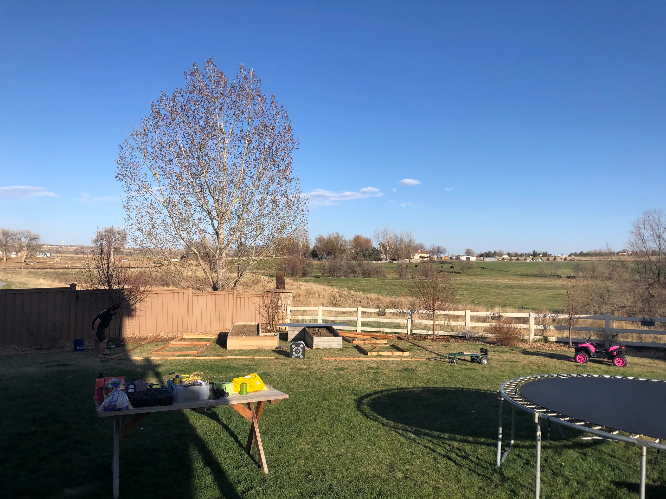 Before raised garden beds project